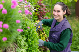 Une femme portant des gants de jardinage et un gilet violet sourit tout en taillant des buissons verts avec des fleurs roses dans un jardin.