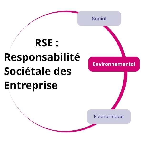 Diagramme sur la RSE (Responsabilité Sociétale des Entreprises) incluant l'aide à domicile, avec trois volets : Social, Environnemental (en surbrillance rose), et Économique, entourant le texte principal.