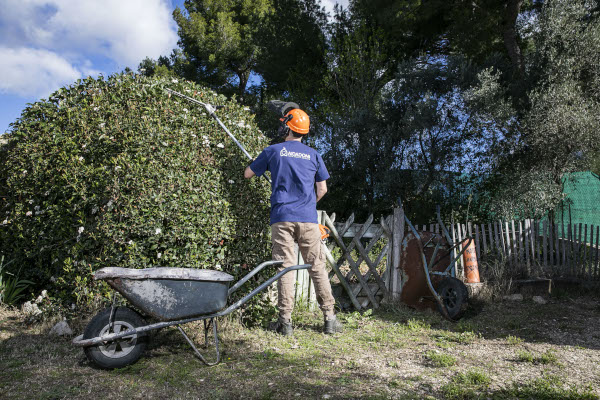 Une personne portant un équipement de sécurité taille un grand buisson dans un jardin à l'aide d'un long taille-haie électrique, illustrant l'entretien de jardin régulier. Une brouette et des outils se trouvent à proximité, avec des arbres et une clôture en bois en arrière-plan.