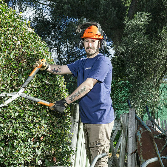 Une personne portant un équipement de sécurité et une chemise bleue taille une grande haie à l'aide d'une cisaille de jardin. Elle a des tatouages sur les bras et se tient debout sur une échelle dans un cadre extérieur luxuriant.