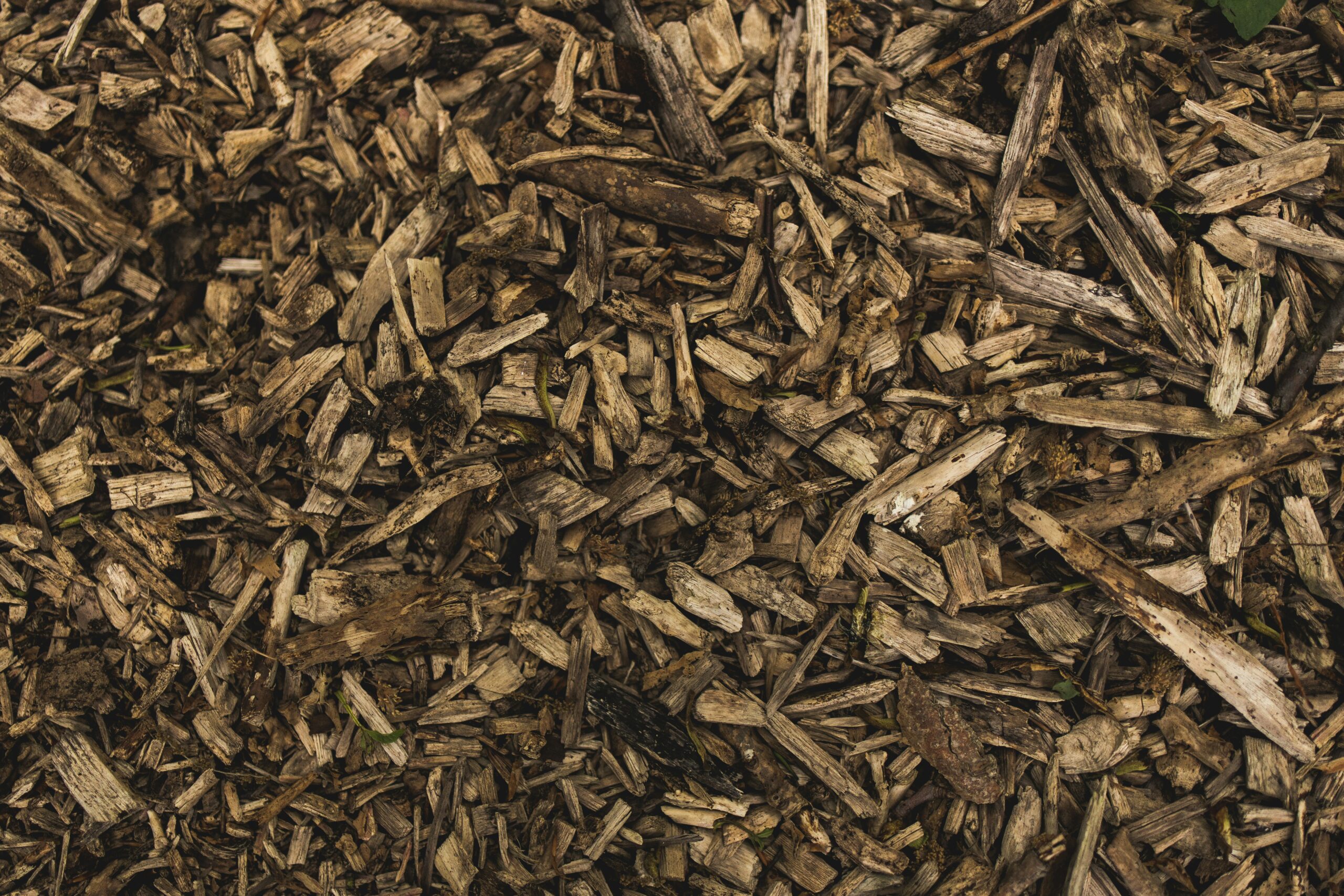 Vue rapprochée d'un tas de copeaux de bois bruns et de paillis, idéal pour l'entretien du jardin ou l'utilisation par une aide ménagère du CESU, montrant des morceaux de bois rugueux et déchiquetés de différentes formes et tailles.