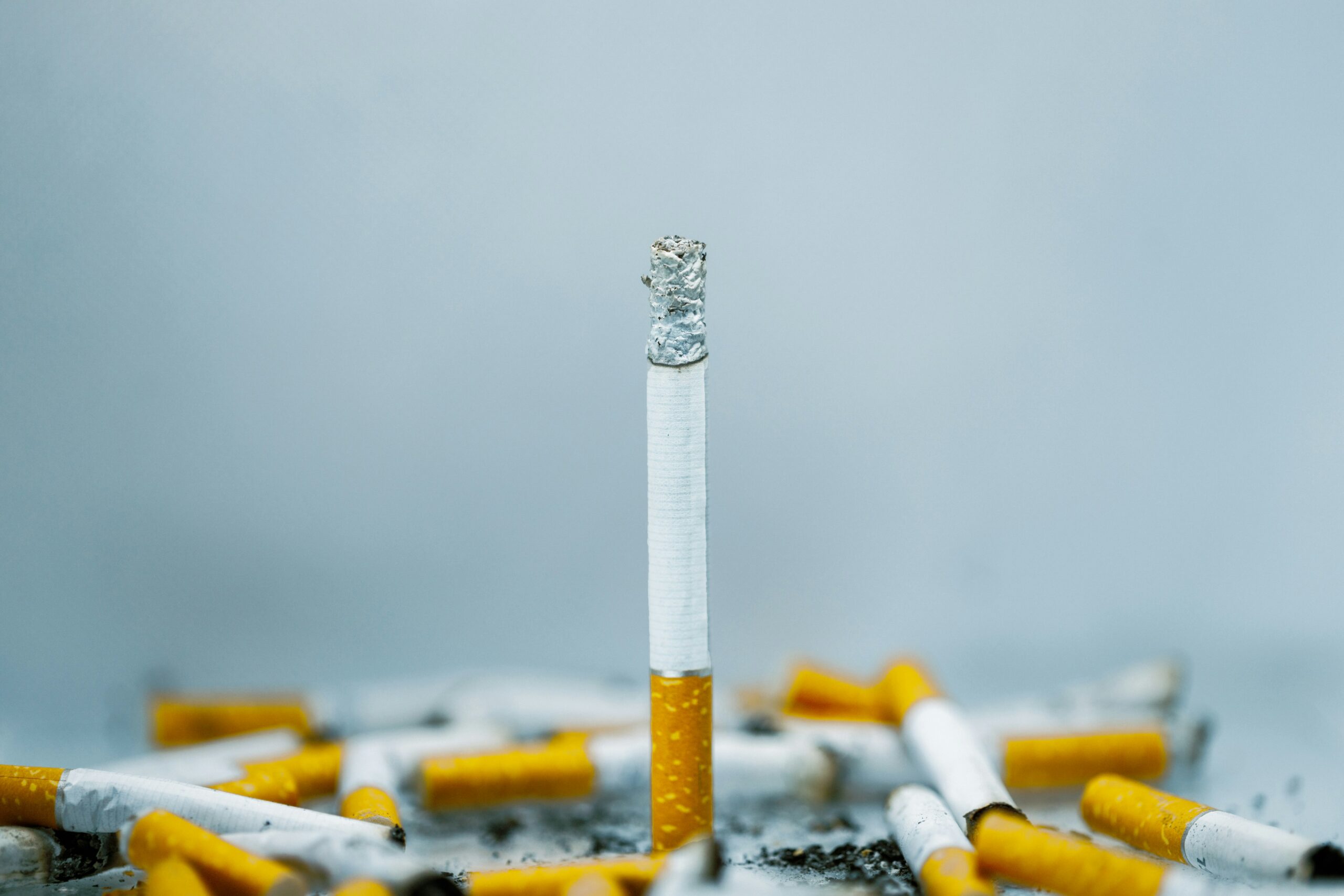 Une seule cigarette à l'extrémité brûlée est entourée de plusieurs cigarettes brisées et éparpillées sur un fond clair, rappelant le processus minutieux nécessaire pour nettoyer un Thermomix après une utilisation intensive.