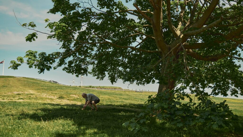 Une personne âgée se penche pour ramasser quelque chose dans l'herbe, sous un grand arbre feuillu, par une journée ensoleillée, profitant de la tranquillité du champ vert et du ciel bleu. Au loin, des éoliennes tournent, faisant écho à la promesse de Ressources d'Aide pour Personnes Âgées en Ville.