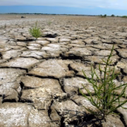Une terre craquelée et sèche, parsemée de quelques plantes vertes, met en évidence la sécheresse PACA 2026, tandis que le paysage évoque les pratiques de jardinage méditerranéen adaptées à un jardin senior économe en eau, sous un ciel bleu parsemé de quelques nuages.