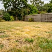 Un jardin avec une clôture en bois et des arbres. L'herbe est clairsemée et sèche, avec de nombreuses zones jaunes et brunes, ce qui donne l'impression d'une pelouse jaunie qui a besoin d'entretien. Le ciel est nuageux, ce qui en fait le moment idéal pour commencer à réensemencer la pelouse en automne afin de redonner vie à cet espace extérieur.