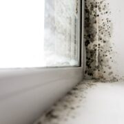 Gros plan sur un cadre de fenêtre blanc et un angle de mur présentant des taches de moisissure noire, signe d’humidité et d’une mauvaise ventilation. Cette image souligne l’importance de trouver des solutions contre l’humidité dans la maison et d’éliminer la moisissure sur les murs afin d’empêcher sa propagation dans l’habitation.