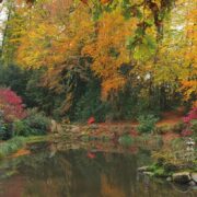 Un étang paisible reflète les arbres et les buissons aux couleurs automnales, entouré de rochers et de verdure dans un jardin serein : un endroit idéal pour se détendre, d’autant plus que le changement d’heure de 2026 approche et que les soirées s’allongent.