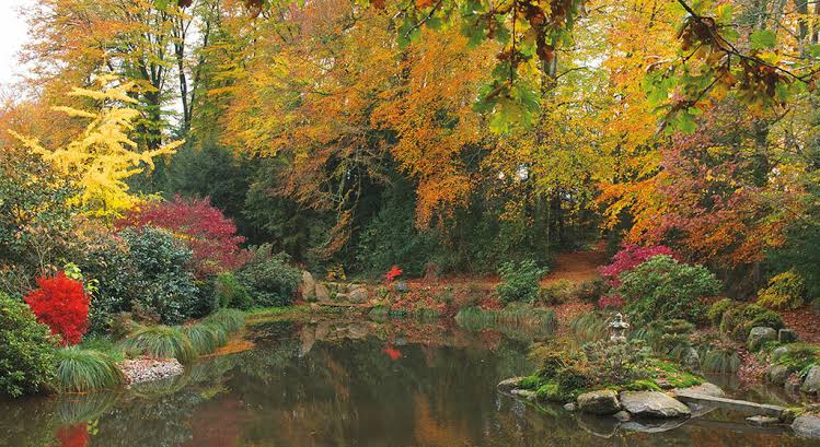 Un étang paisible reflète les arbres et les buissons aux couleurs automnales, entouré de rochers et de verdure dans un jardin serein : un endroit idéal pour se détendre, d’autant plus que le changement d’heure de 2026 approche et que les soirées s’allongent.