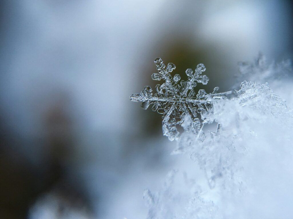 Un flocon de neige unique et finement ciselé repose sur un lit de neige, soulignant l'importance de préparer le logement d'une personne âgée pour l'hiver.