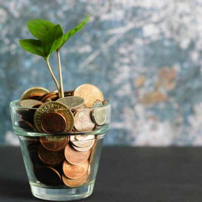 Une petite plante verte poussant dans un verre transparent rempli de pièces de monnaie assorties, sur un fond flou bleu et gris.